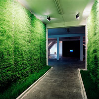 grass installation